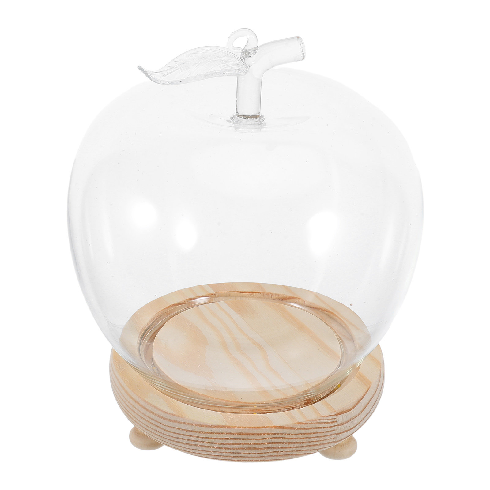 1 Conjunto de Cúpula de Vidro  - Plastic Dome Clear avaliação e preço
