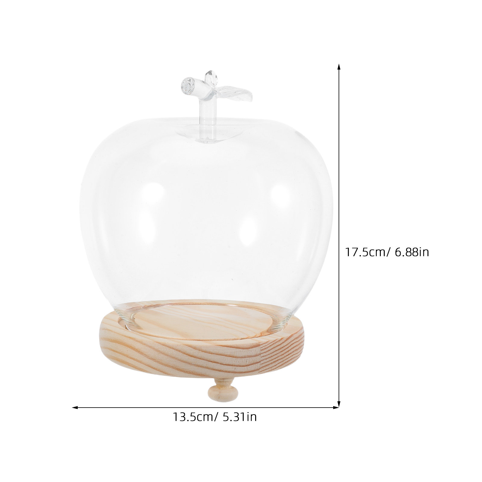 1 Conjunto de Cúpula de Vidro  - Plastic Dome Clear avaliação e preço