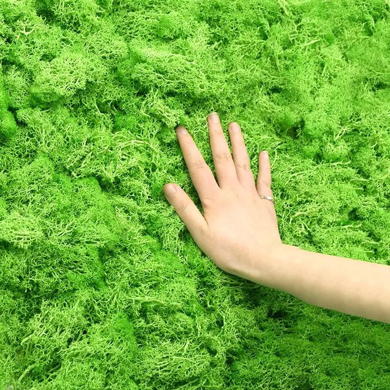 Planta Verde Artificial, Musgo - Sphagnum Moss Dry avaliação e preço
