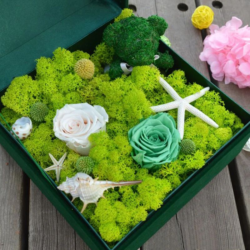 Planta Verde Artificial, Musgo - Sphagnum Moss Dry avaliação e preço