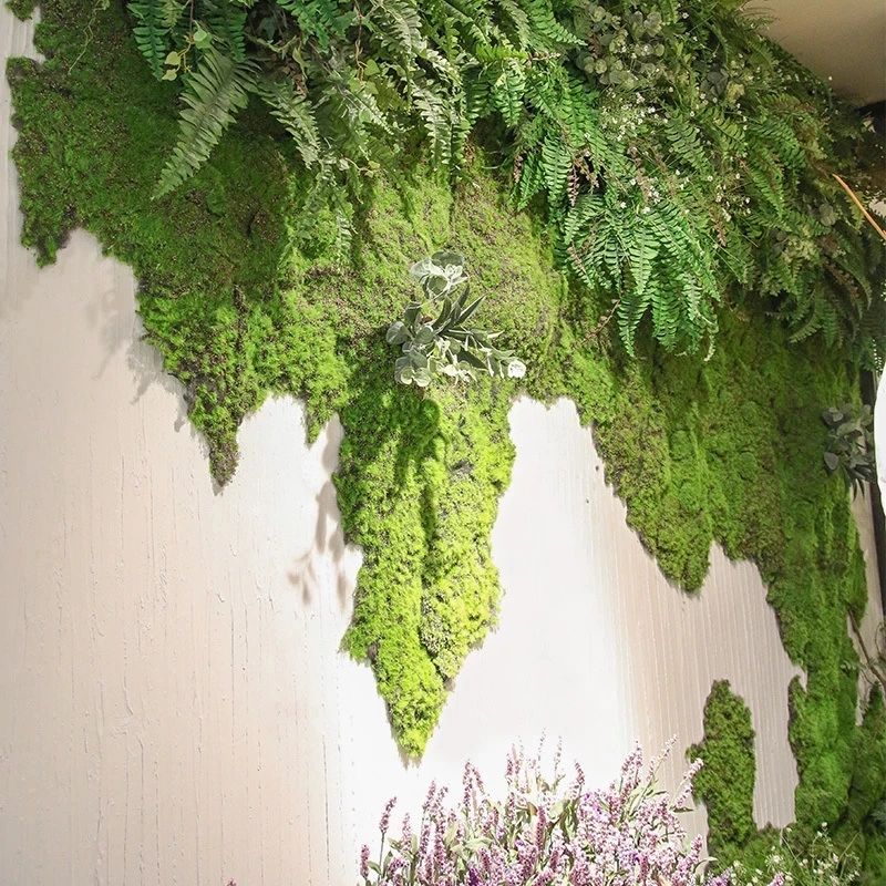 Planta Verde Artificial, Musgo - Sphagnum Moss Dry avaliação e preço
